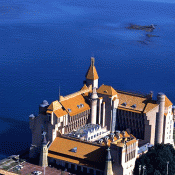 パンダのパレード