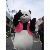 パンダのパレード